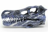 Carved Sodalite Dinosaur Skull #218481-1